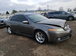 2008 Acura Tl  Желто-коричневый vin: 19UUA662X8A010147