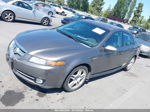 2008 Acura Tl 3.2 Brown vin: 19UUA662X8A027529