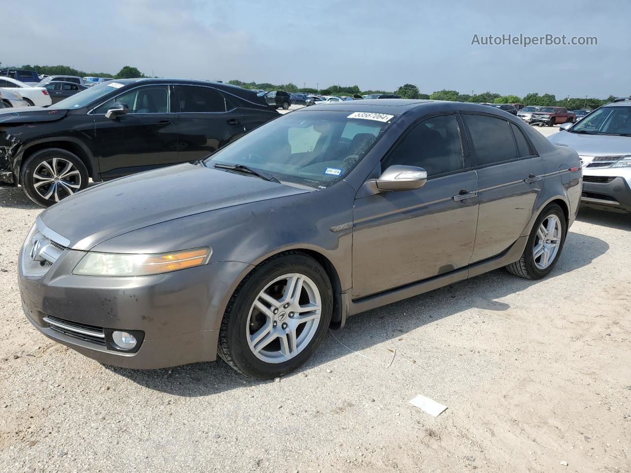 2008 Acura Tl  Gray vin: 19UUA662X8A043682