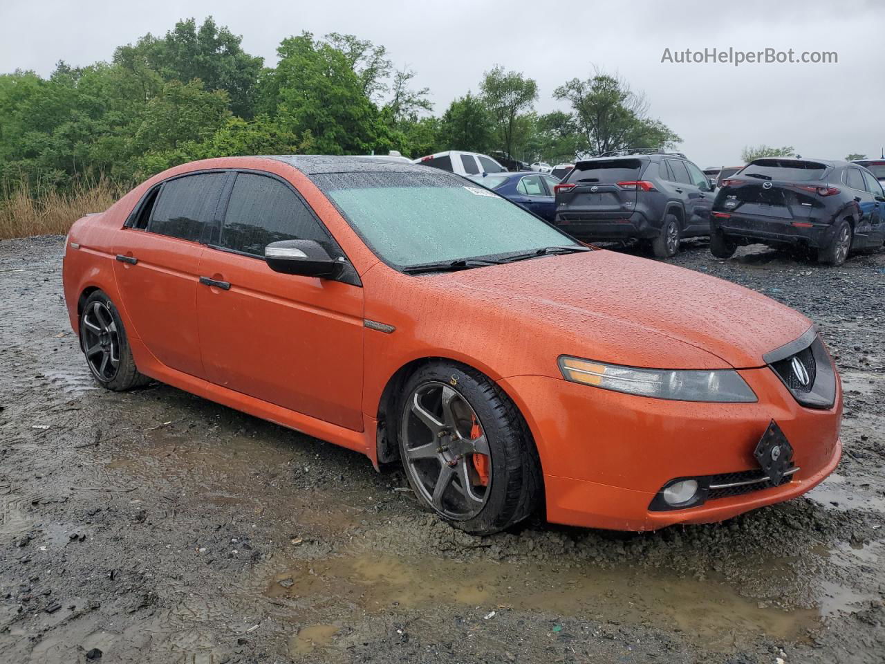 2008 Acura Tl Type S Orange vin: 19UUA75568A011295