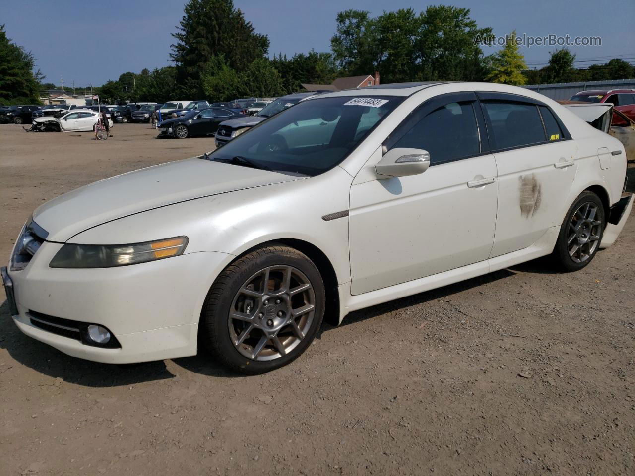 2008 Acura Tl Type S White vin: 19UUA76528A021496