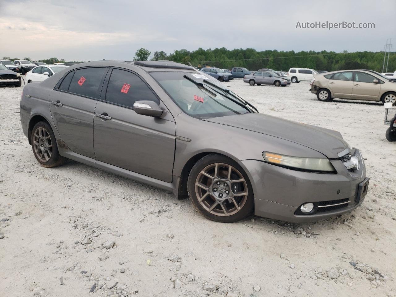2008 Acura Tl Type S Brown vin: 19UUA76538A025105
