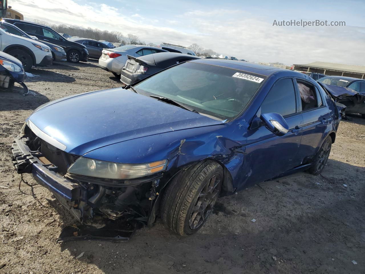 2008 Acura Tl Type S Blue vin: 19UUA76548A003467