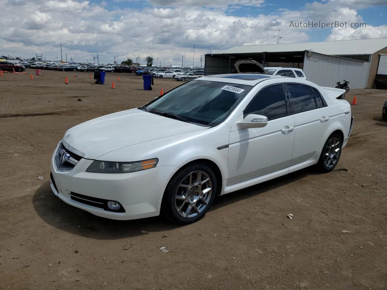 2008 Acura Tl Type S White vin: 19UUA76568A016088