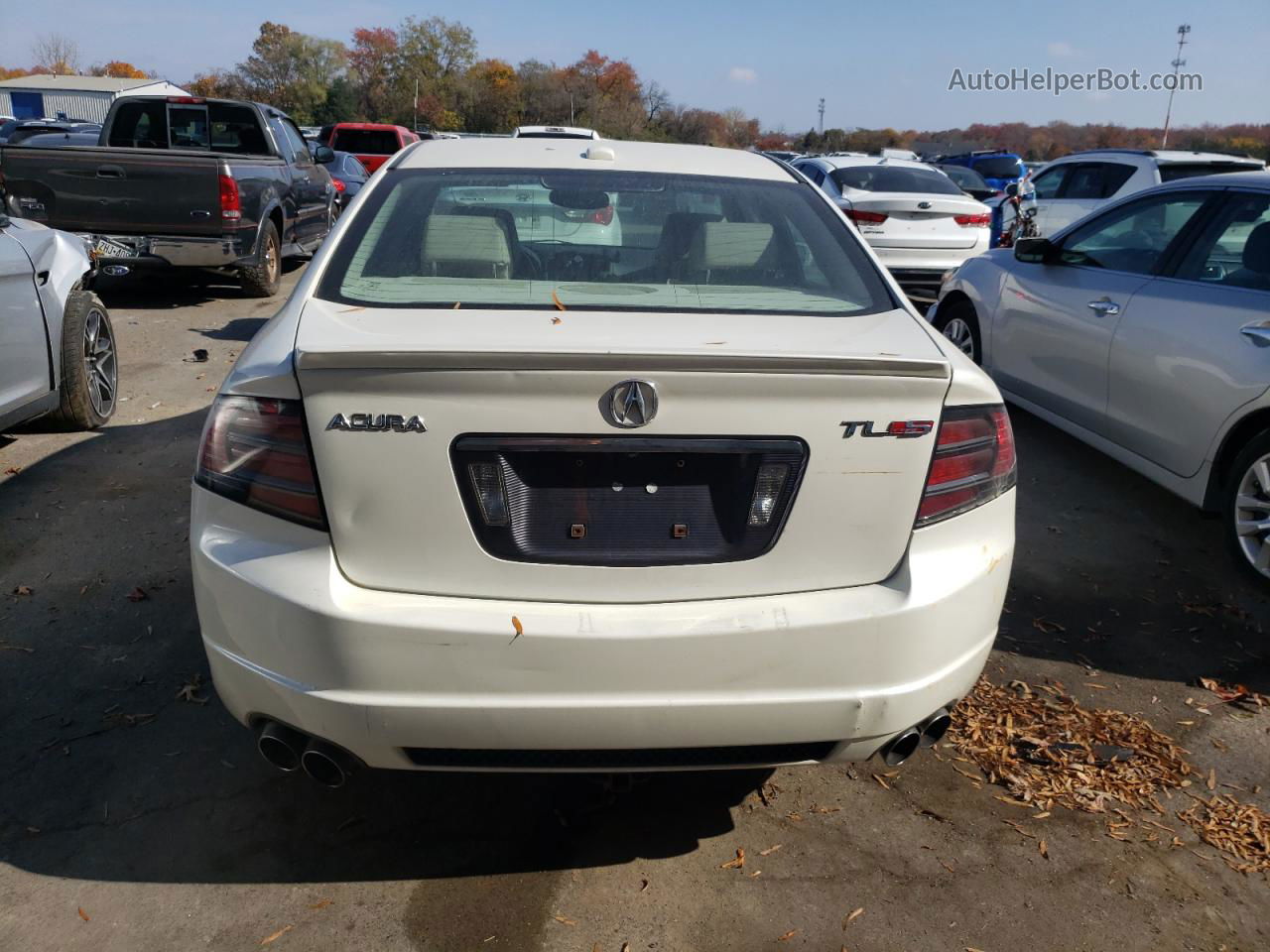 2008 Acura Tl Type S White vin: 19UUA76568A052914