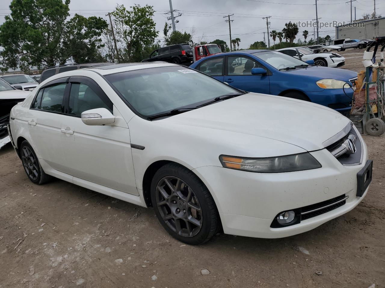 2008 Acura Tl Type S White vin: 19UUA76588A006727