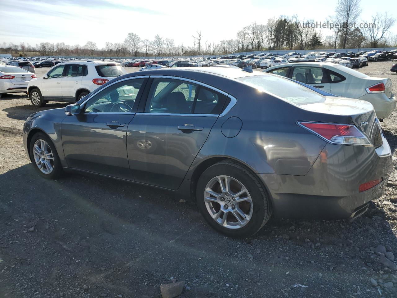 2010 Acura Tl  Gray vin: 19UUA8F20AA017304