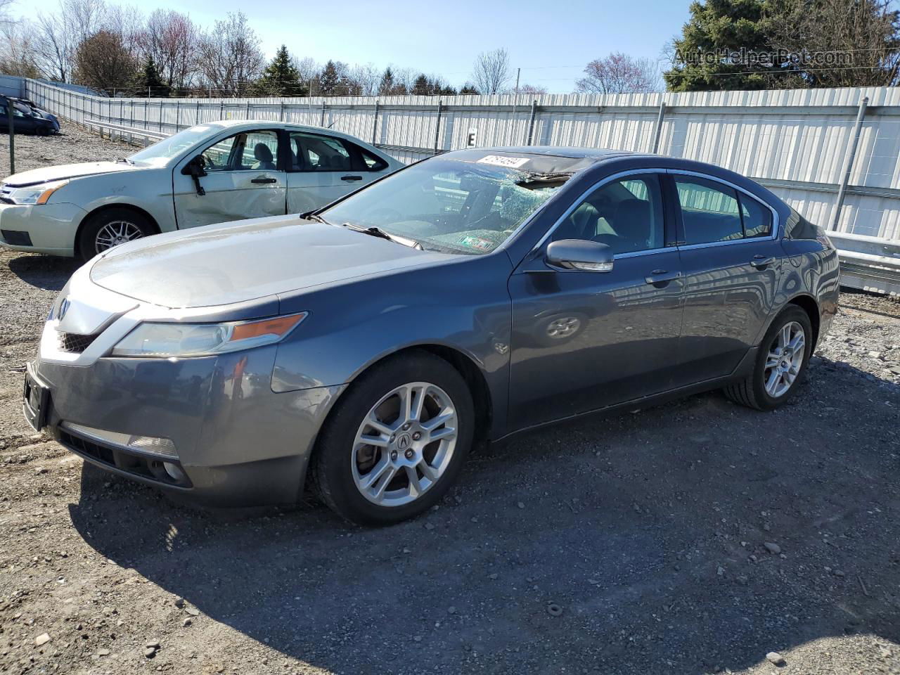 2010 Acura Tl  Gray vin: 19UUA8F20AA017304