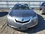 2010 Acura Tl  Серый vin: 19UUA8F20AA017304