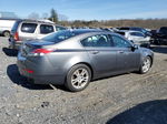 2010 Acura Tl  Gray vin: 19UUA8F20AA017304