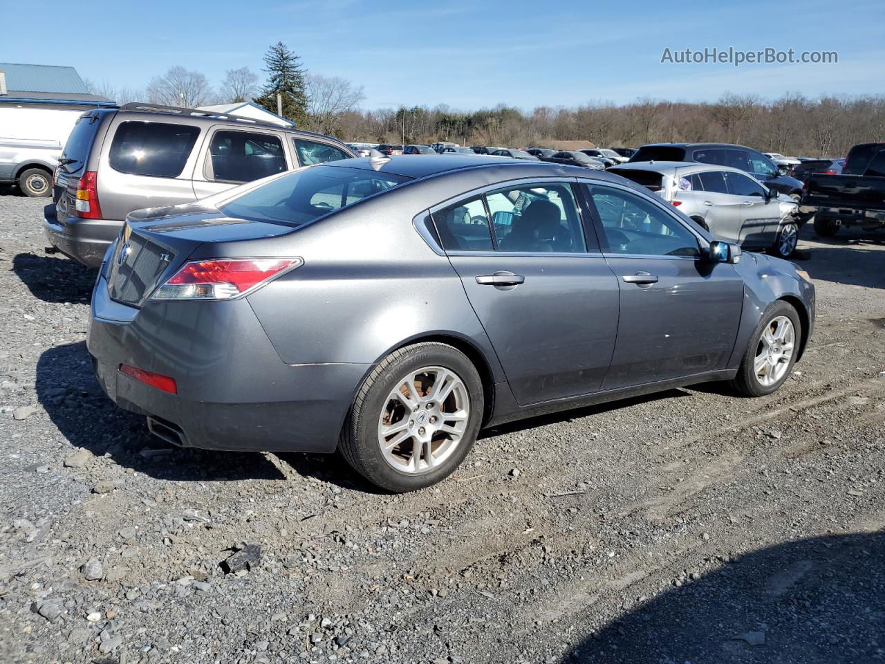 2010 Acura Tl  Gray vin: 19UUA8F20AA017304