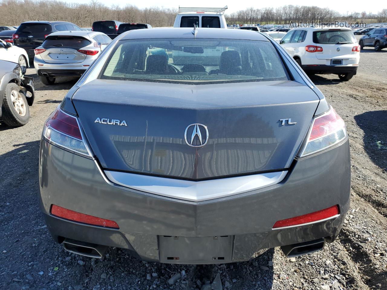 2010 Acura Tl  Серый vin: 19UUA8F20AA017304