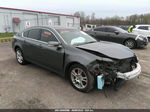 2010 Acura Tl   Серый vin: 19UUA8F20AA022096