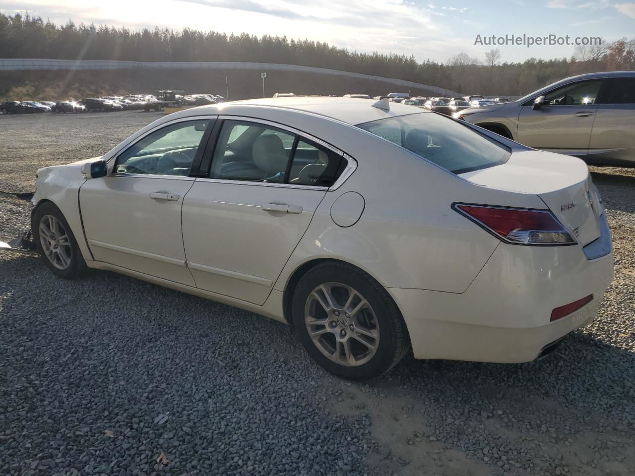 2010 Acura Tl  White vin: 19UUA8F20AA024351