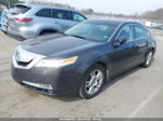 2010 Acura Tl 3.5 Gray vin: 19UUA8F20AA025967