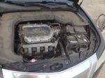 2010 Acura Tl  Черный vin: 19UUA8F21AA008451