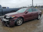 2010 Acura Tl  Burgundy vin: 19UUA8F22AA015134