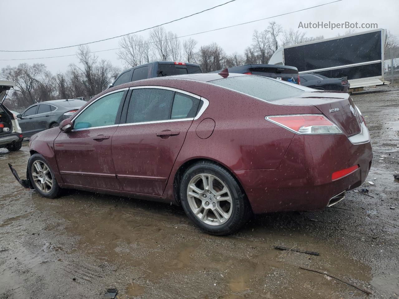 2010 Acura Tl  Burgundy vin: 19UUA8F22AA015134