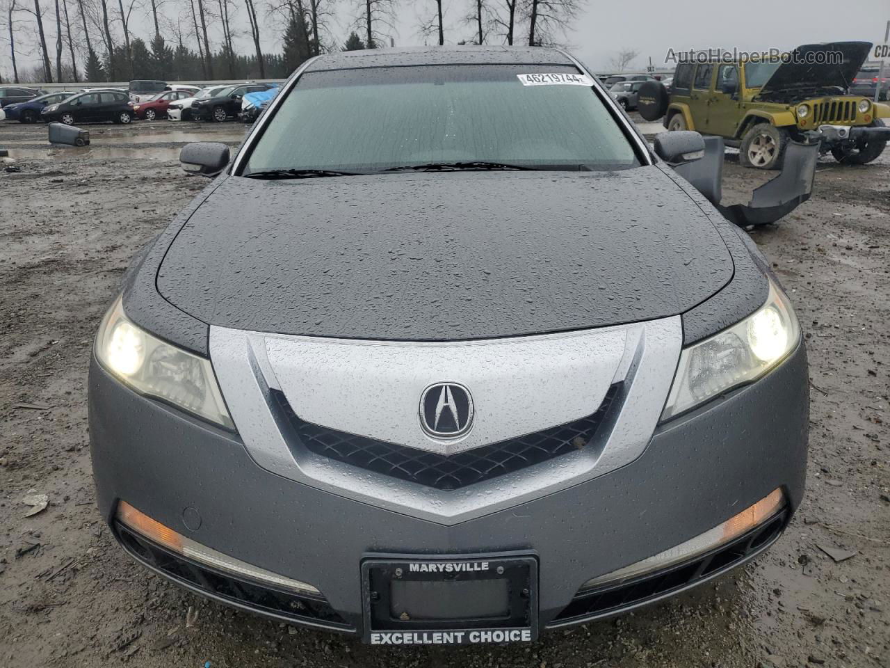 2010 Acura Tl  Gray vin: 19UUA8F23AA002960