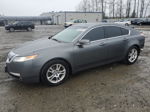 2010 Acura Tl  Gray vin: 19UUA8F23AA002960