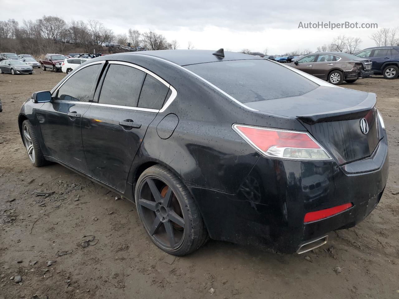 2010 Acura Tl  Black vin: 19UUA8F23AA016227