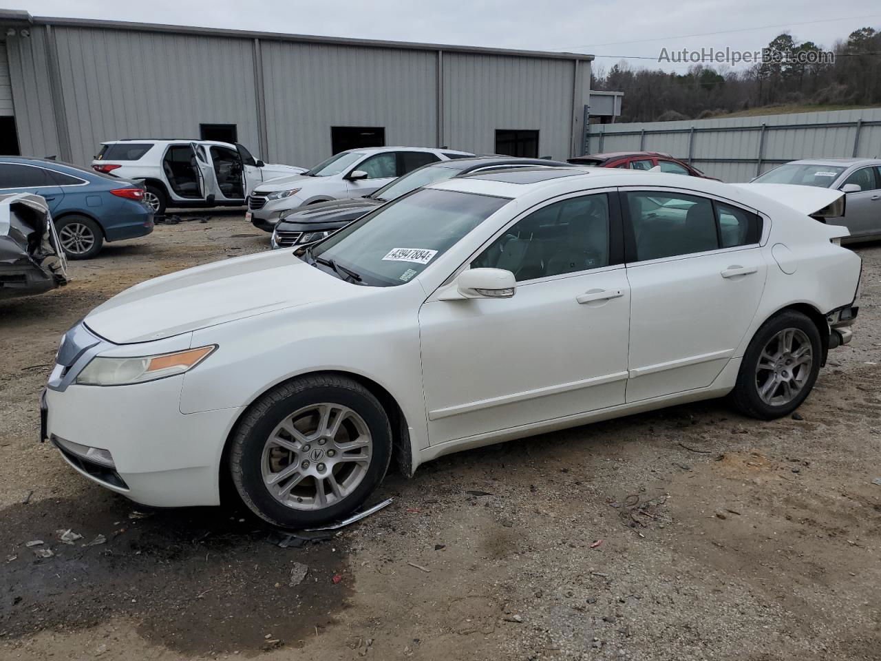 2010 Acura Tl  White vin: 19UUA8F23AA020567