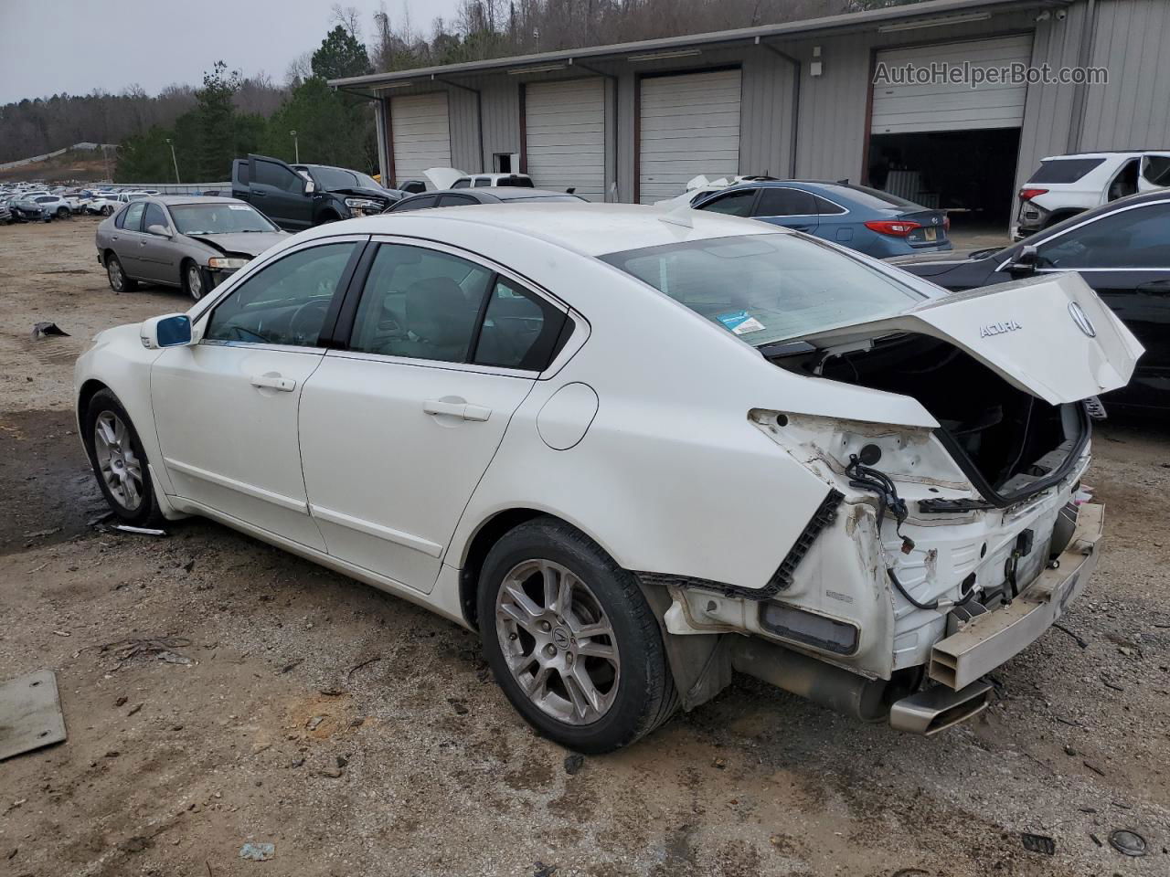 2010 Acura Tl  White vin: 19UUA8F23AA020567