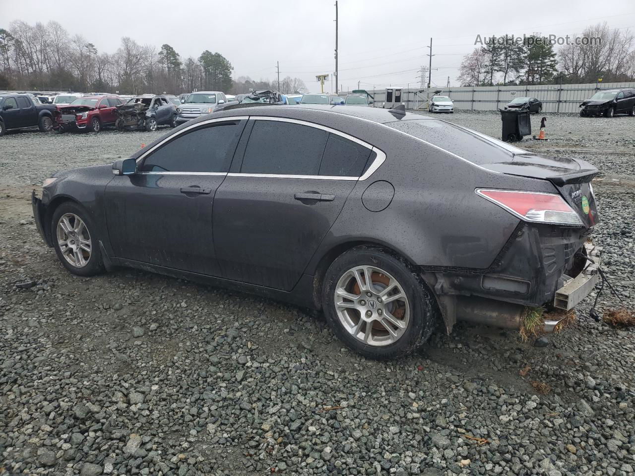 2010 Acura Tl  Gray vin: 19UUA8F25AA021543