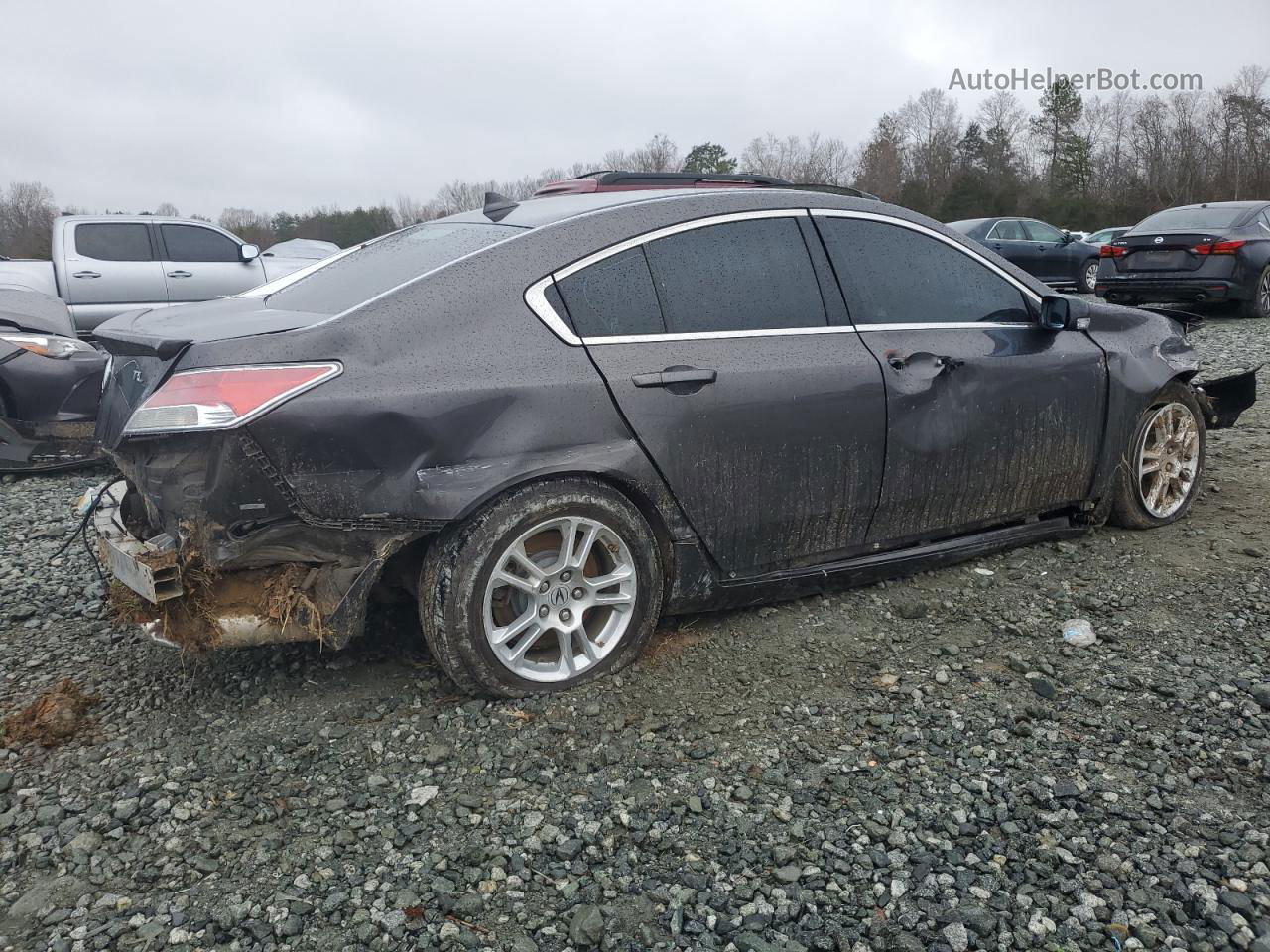 2010 Acura Tl  Gray vin: 19UUA8F25AA021543