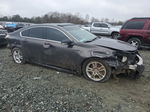 2010 Acura Tl  Gray vin: 19UUA8F25AA021543