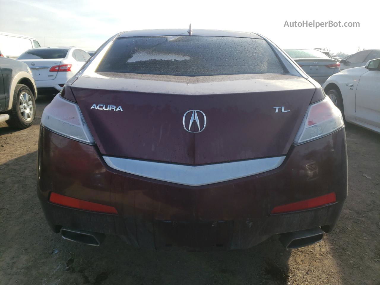 2010 Acura Tl  Бордовый vin: 19UUA8F25AA022109