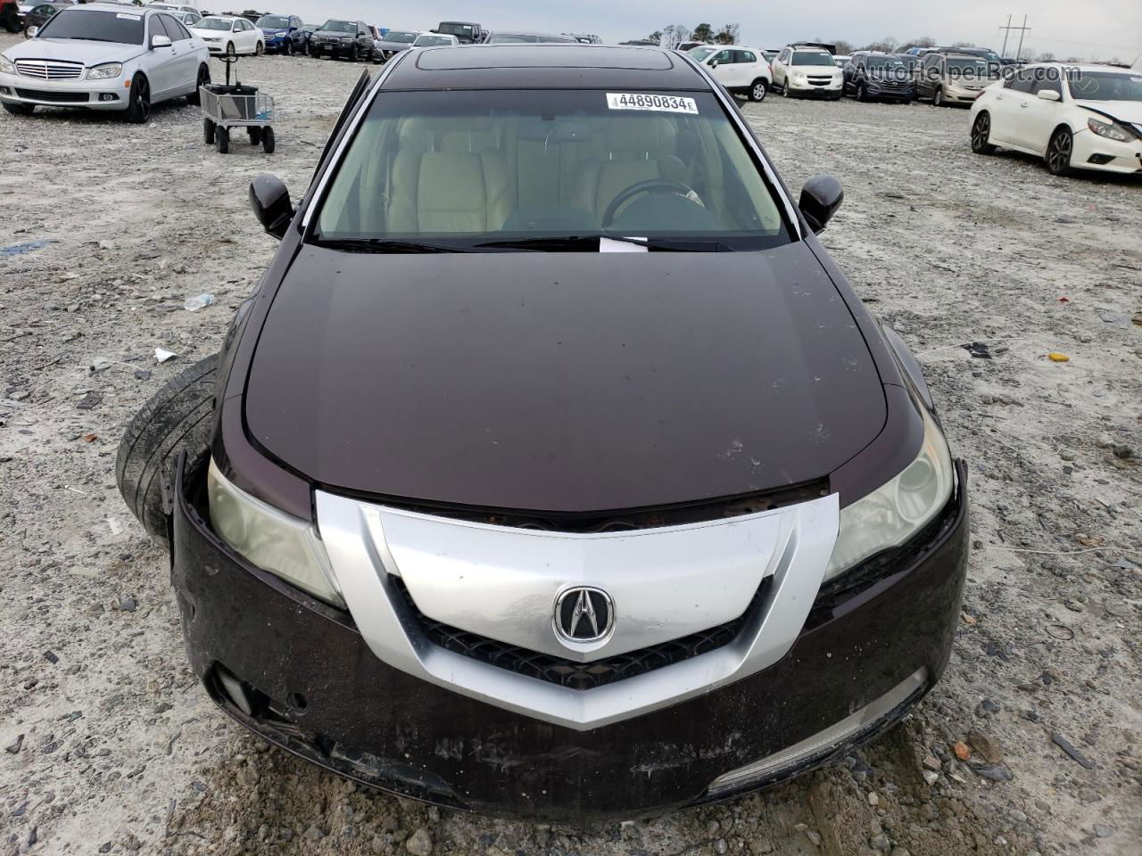 2010 Acura Tl  Burgundy vin: 19UUA8F26AA022751