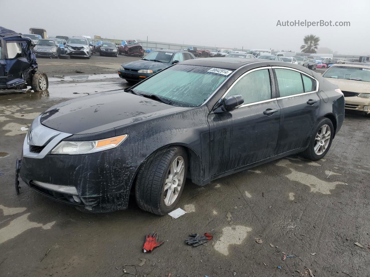 2010 Acura Tl  Black vin: 19UUA8F27AA009295