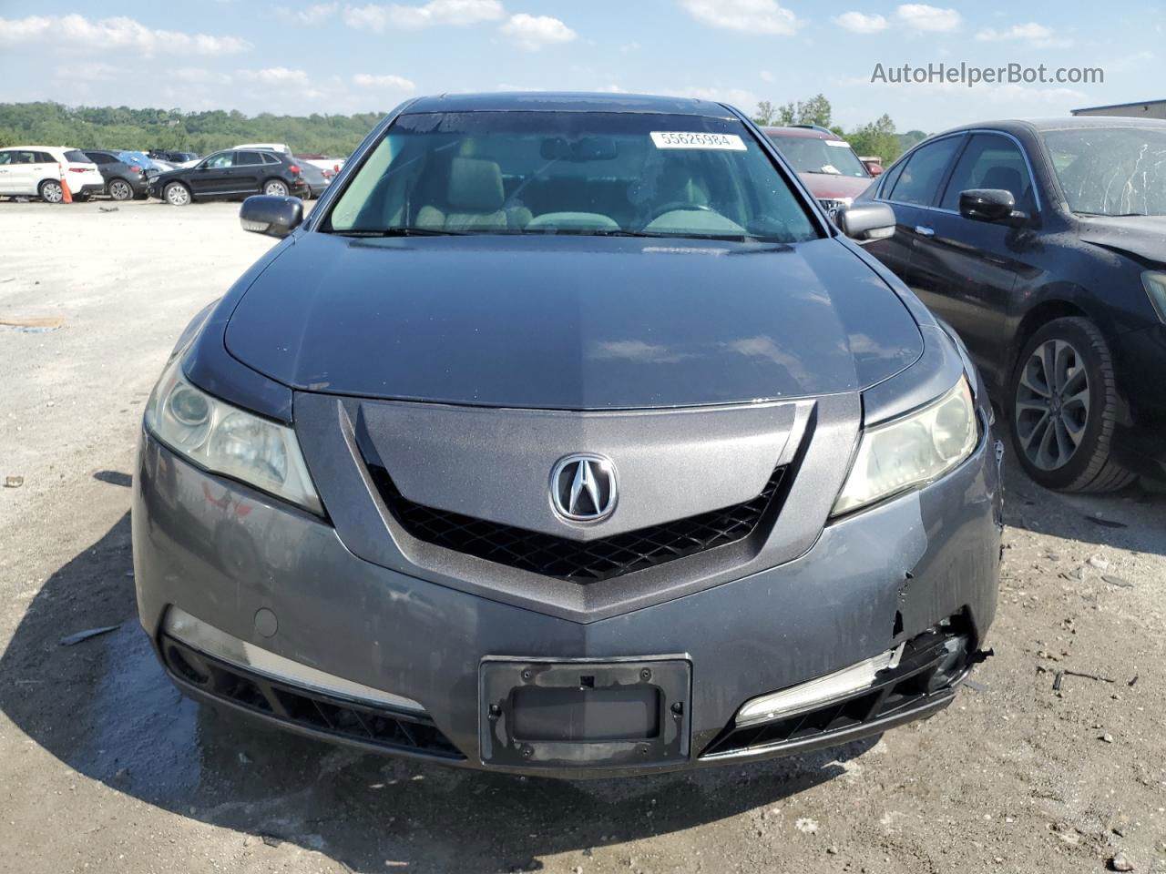 2010 Acura Tl  Gray vin: 19UUA8F29AA016829