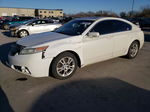 2010 Acura Tl  White vin: 19UUA8F29AA026485