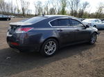 2010 Acura Tl  Серый vin: 19UUA8F29AA026969