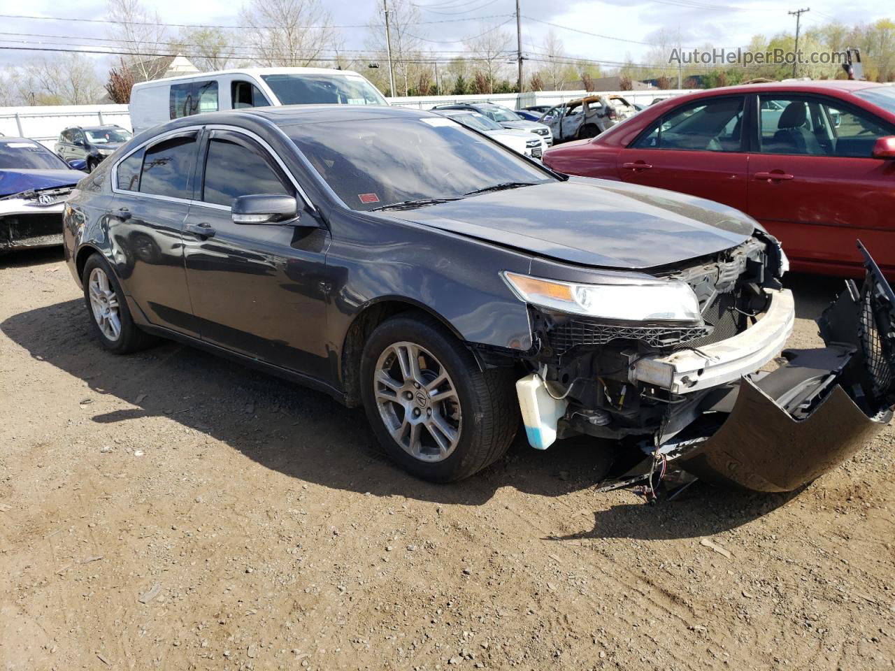 2010 Acura Tl  Серый vin: 19UUA8F29AA026969