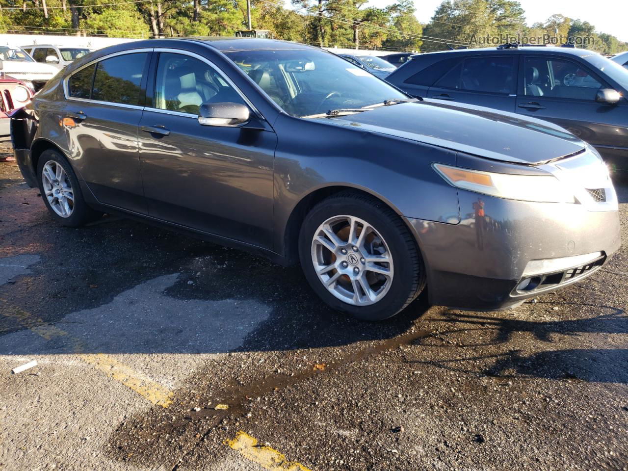 2010 Acura Tl  Gray vin: 19UUA8F2XAA021585