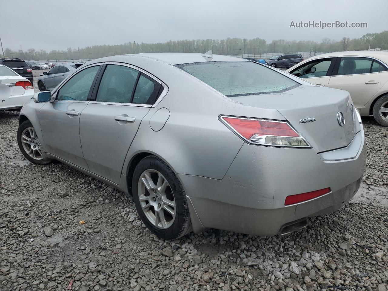 2010 Acura Tl  Серебряный vin: 19UUA8F2XAA023465