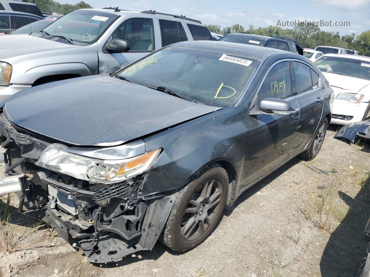 2010 Acura Tl  Gray vin: 19UUA8F50AA016714