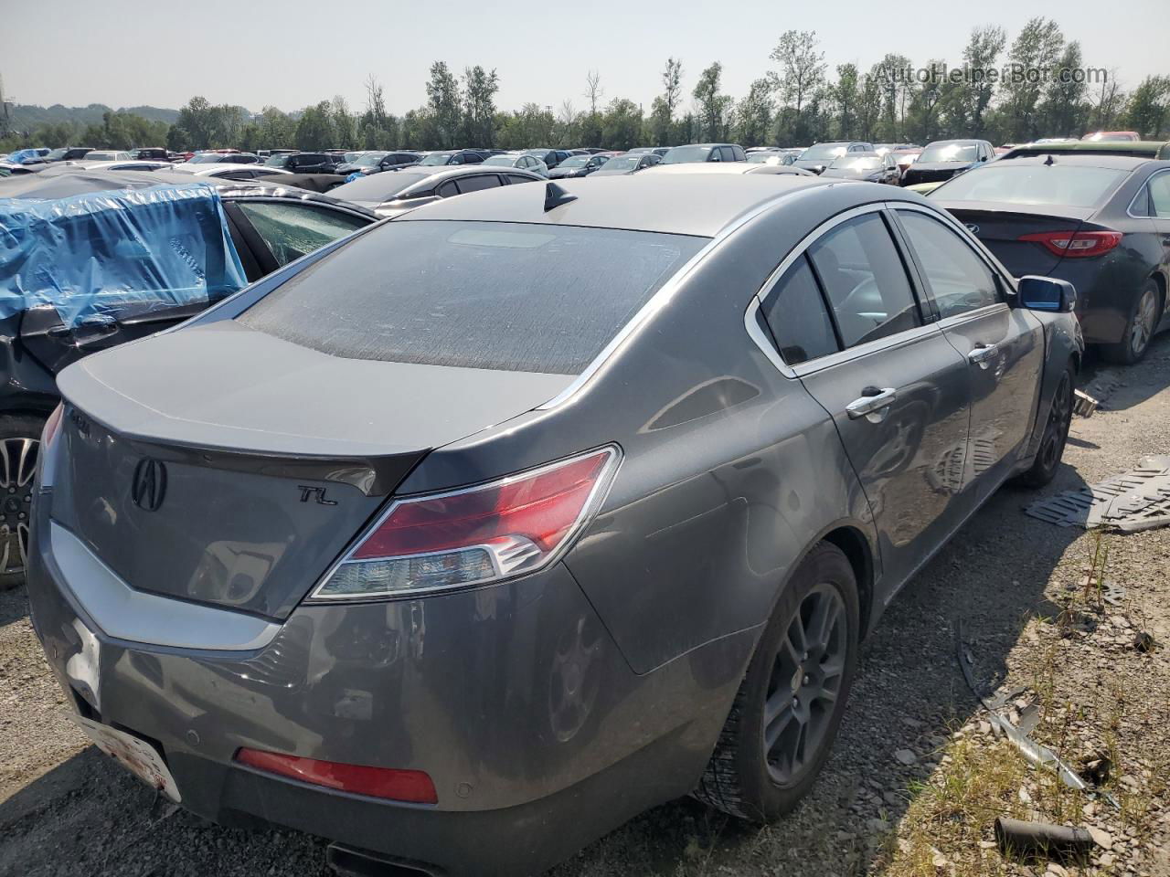 2010 Acura Tl  Gray vin: 19UUA8F50AA016714