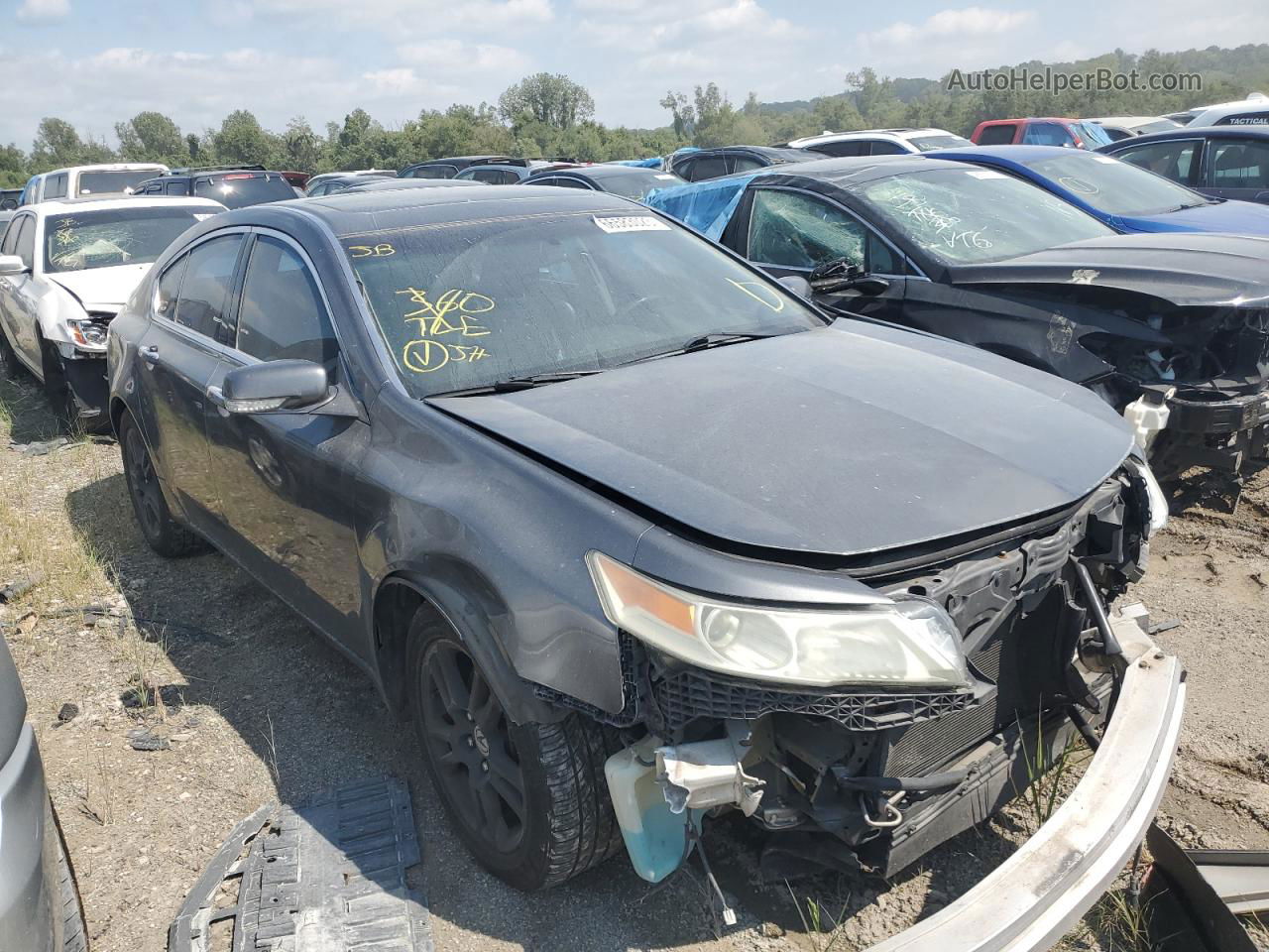 2010 Acura Tl  Gray vin: 19UUA8F50AA016714