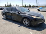 2010 Acura Tl  Черный vin: 19UUA8F50AA018141