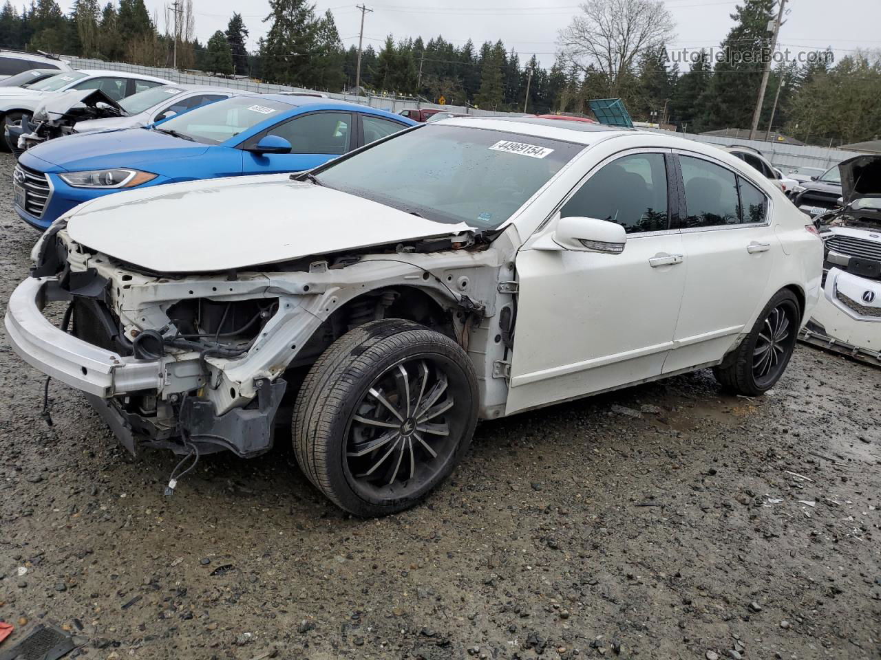 2010 Acura Tl  White vin: 19UUA8F50AA026269