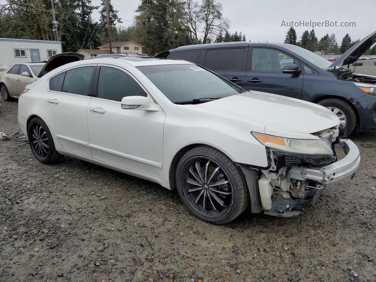 2010 Acura Tl  White vin: 19UUA8F50AA026269