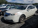 2010 Acura Tl  White vin: 19UUA8F51AA003678