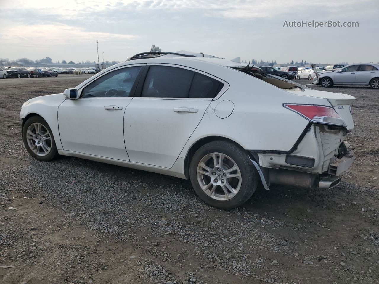 2010 Acura Tl  White vin: 19UUA8F51AA022408