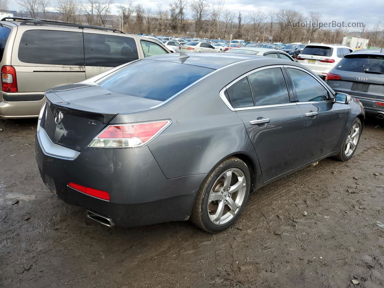 2010 Acura Tl  Серый vin: 19UUA8F52AA000675