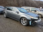 2010 Acura Tl  Серый vin: 19UUA8F52AA000675