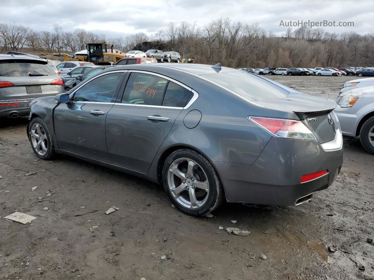 2010 Acura Tl  Серый vin: 19UUA8F52AA000675